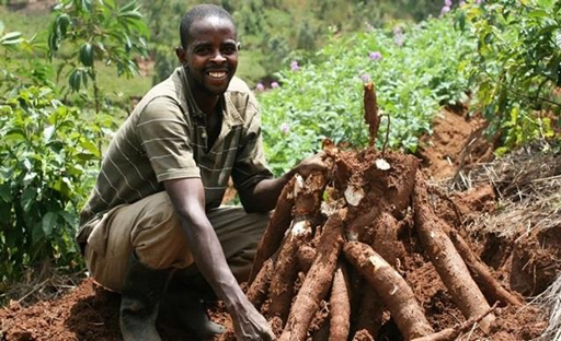 ESMF, Resettlement Policy Framework and Pest Management Plan for the Agriculture Cluster Development Project