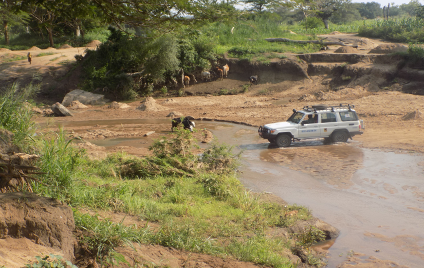 Environmental and Social Impact Assessment (ESIA), Land acquisition Plan/Resettlement Action Plan, Gender Action Plan and Social Profiling for Improvement of National Road in Refugee-Hosting Areas of West Nile Sub- Region